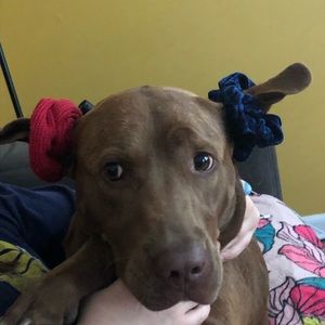 Meet your Posher, Cassidy